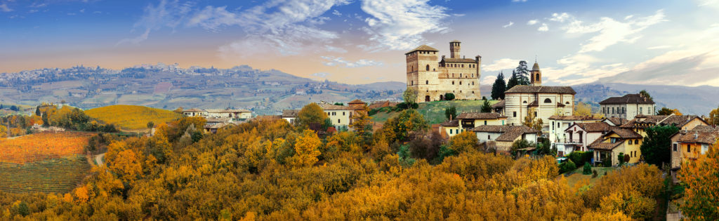 Castello di Grinzane and village - one of the most famous vine r